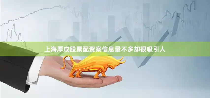 上海厚成股票配资案信息量不多却很吸引人