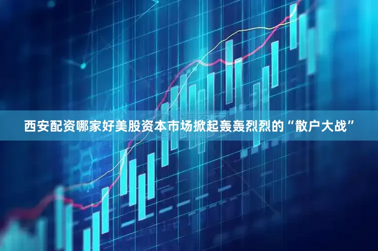 西安配资哪家好美股资本市场掀起轰轰烈烈的“散户大战”