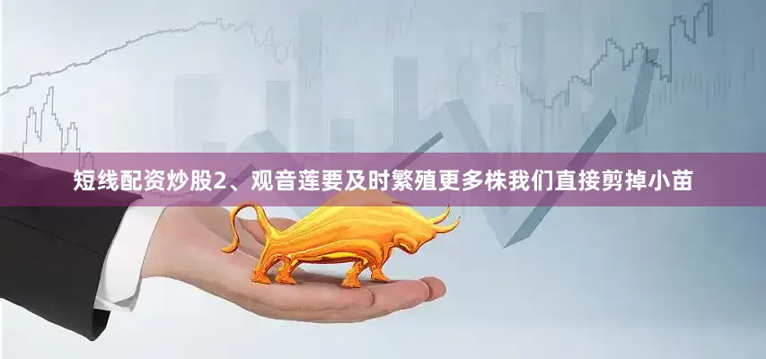 短线配资炒股2、观音莲要及时繁殖更多株我们直接剪掉小苗