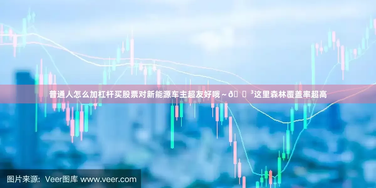普通人怎么加杠杆买股票对新能源车主超友好哦～🌳这里森林覆盖率超高