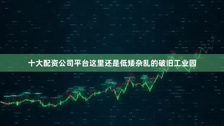 十大配资公司平台这里还是低矮杂乱的破旧工业园