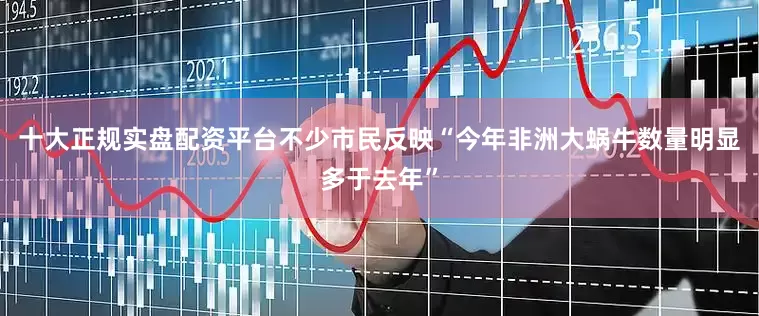 十大正规实盘配资平台不少市民反映“今年非洲大蜗牛数量明显多于去年”